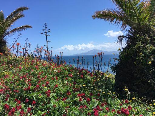 ホテル Floating House タリファ エクステリア 写真